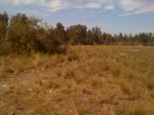Enlarge photo 50