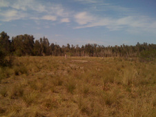 Enlarge photo 51