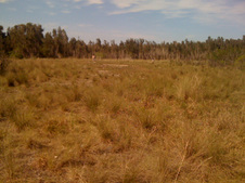 Enlarge photo 52