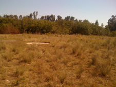 Enlarge photo 53