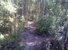 Enlarge photo 55