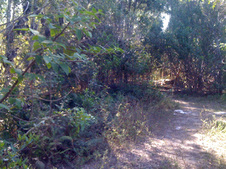 Enlarge photo 56