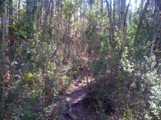 Enlarge photo 57