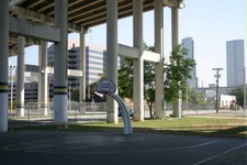 Enlarge photo 53