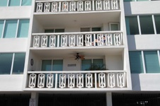 Enlarge photo 47