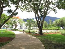 Enlarge photo 138