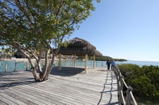 Enlarge photo 12