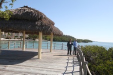 Enlarge photo 13
