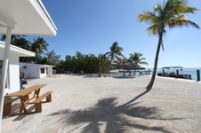 Enlarge photo 25