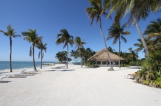 Enlarge photo 26