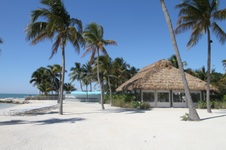 Enlarge photo 27