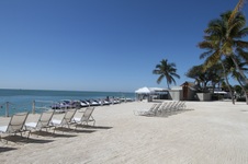 Enlarge photo 35