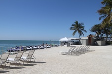 Enlarge photo 36