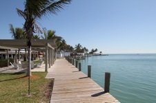 Enlarge photo 53
