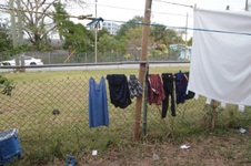 Enlarge photo 69