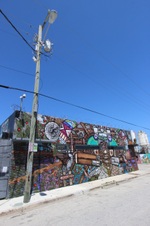 Enlarge photo 217