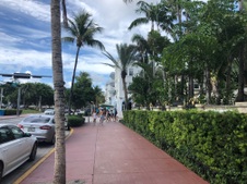 Enlarge photo 136