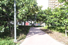 Gansevoort Beach Area