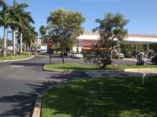 Enlarge photo 170