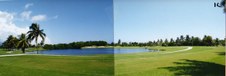 Enlarge photo 30