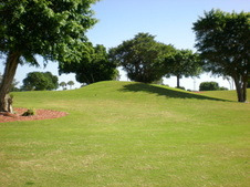 Enlarge photo 52