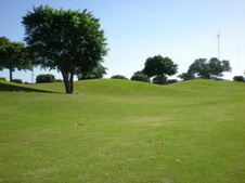 Enlarge photo 53