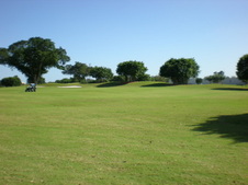Enlarge photo 55