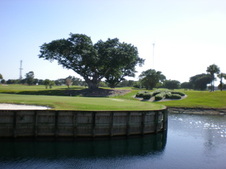 Enlarge photo 56