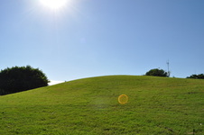 Enlarge photo 48