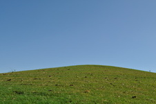 Enlarge photo 49