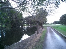 Enlarge photo 38
