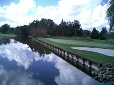 Enlarge photo 40