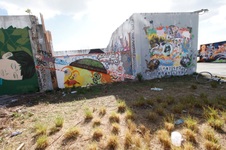 Enlarge photo 65