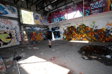 Enlarge photo 74