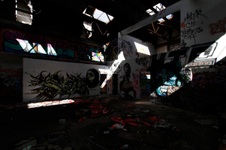 Enlarge photo 87