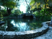 Enlarge photo 74