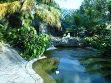 Enlarge photo 71