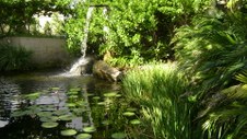 Enlarge photo 84