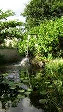 Enlarge photo 85