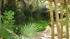 Enlarge photo 86