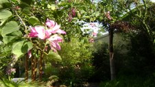 Enlarge photo 88
