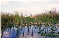 Enlarge photo 104