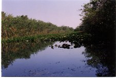 Enlarge photo 102