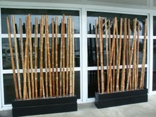 Enlarge photo 34