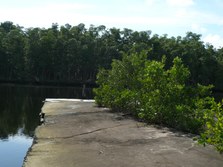 Enlarge photo 98