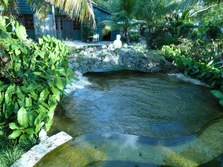Enlarge photo 70