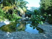 Enlarge photo 81