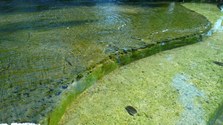 Enlarge photo 76