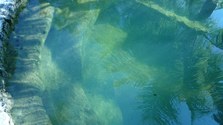 Enlarge photo 106