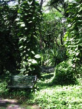 Enlarge photo 94